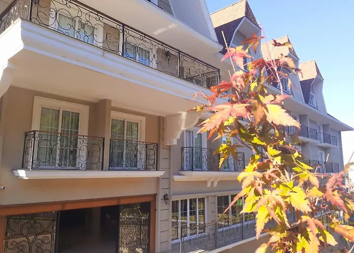 Daara Transamerica Collection Gramado